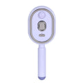 Wet Electrics Hairbrush with Water Spray Rechargeable Steams Hair Straightener USB-C Charging for Both Long & Short Hairs